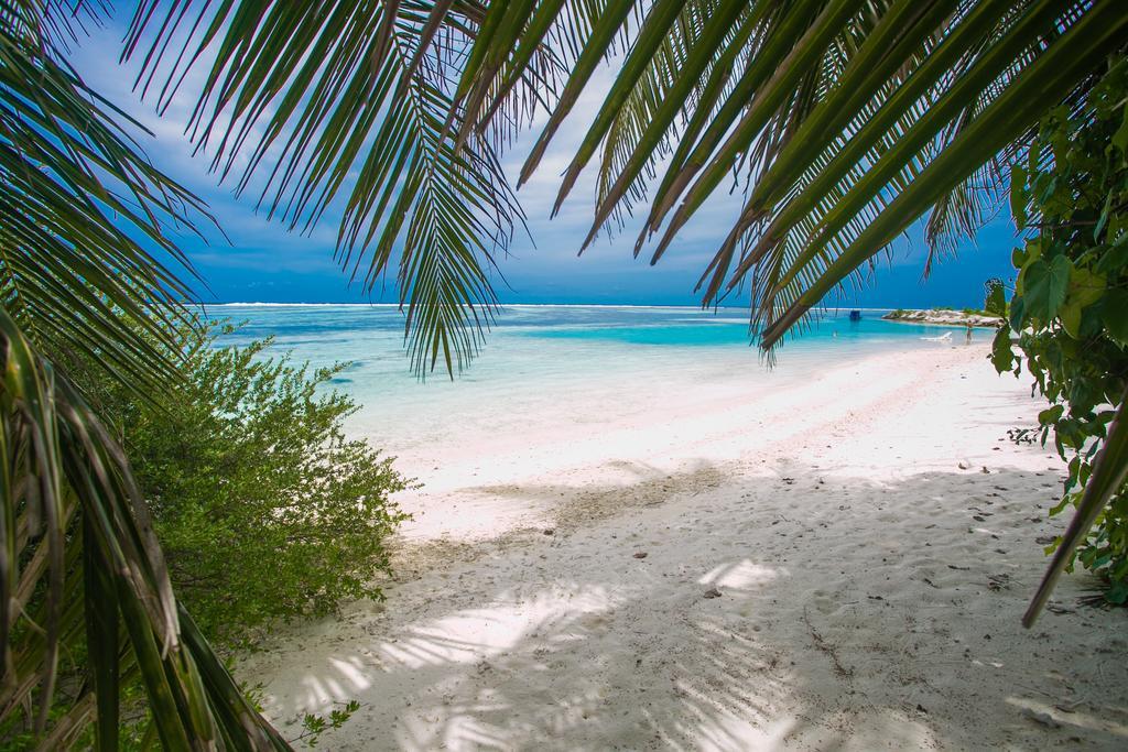 Hotel Maldives Seashine à Huraa Extérieur photo