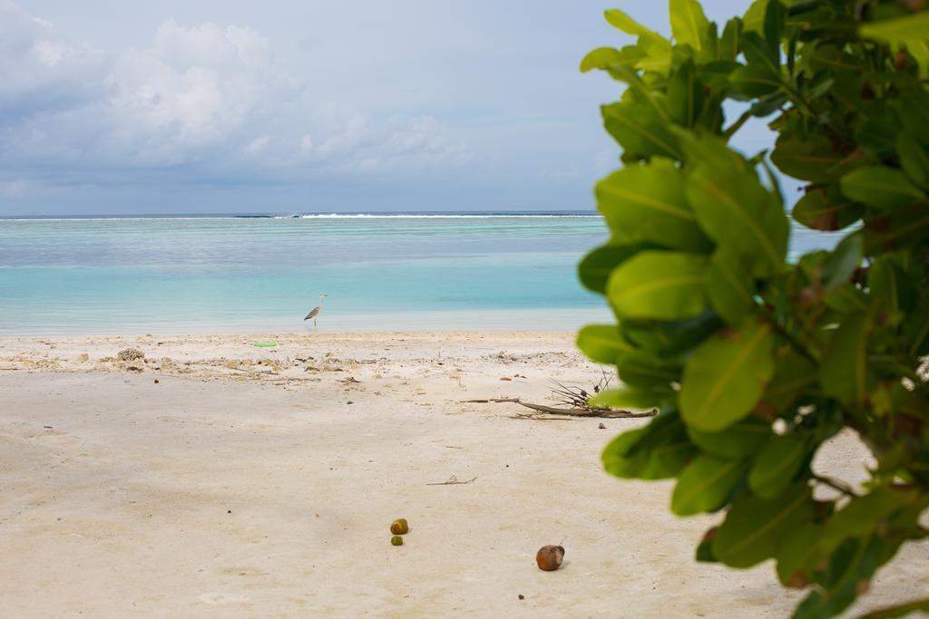 Hotel Maldives Seashine à Huraa Extérieur photo